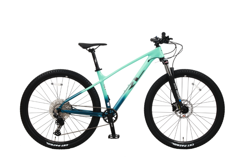 X11-BIANCI RL X11-29 – תמונה 1